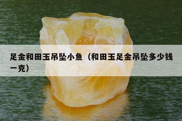 足金和田玉吊坠小鱼（和田玉足金吊坠多少钱一克）