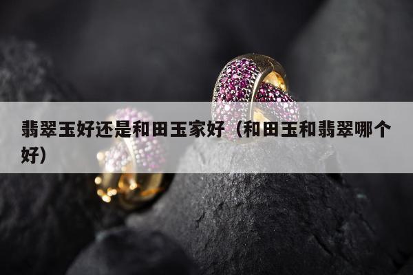 翡翠玉好还是和田玉家好（和田玉和翡翠哪个好）