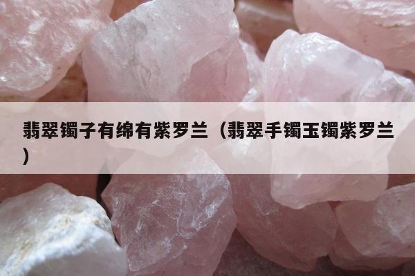翡翠镯子有绵有紫罗兰（翡翠手镯玉镯紫罗兰）