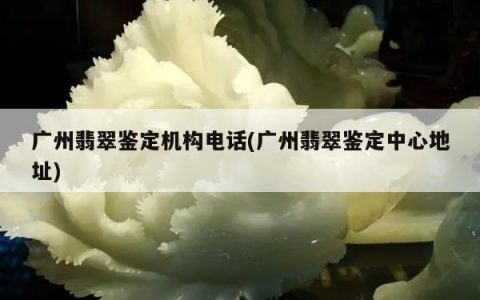 广州翡翠鉴定机构电话(广州翡翠鉴定中心地址)