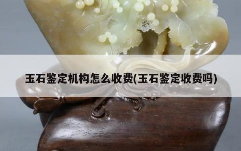玉石鉴定机构怎么收费(玉石鉴定收费吗)
