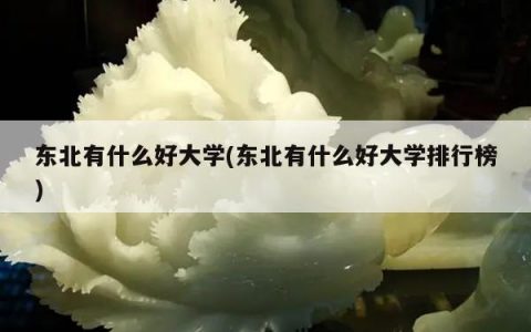东北有什么好大学(东北有什么好大学排行榜)