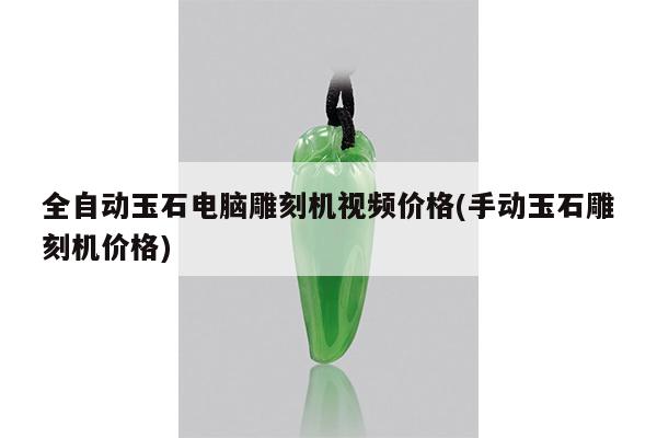 全自动玉石电脑雕刻机视频价格(手动玉石雕刻机价格)
