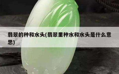 翡翠的种和水头(翡翠里种水和水头是什么意思)