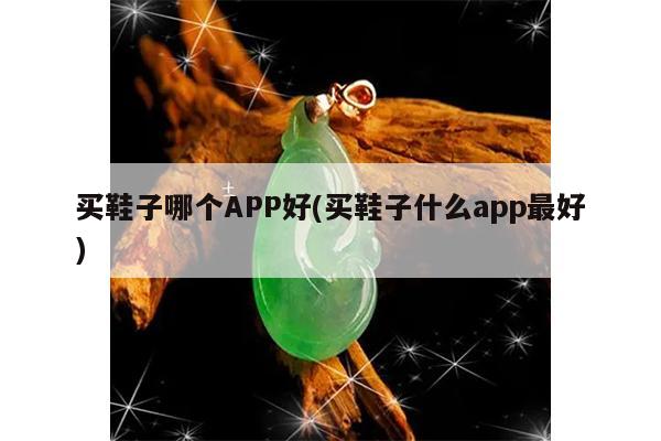 买鞋子哪个APP好(买鞋子什么app最好)