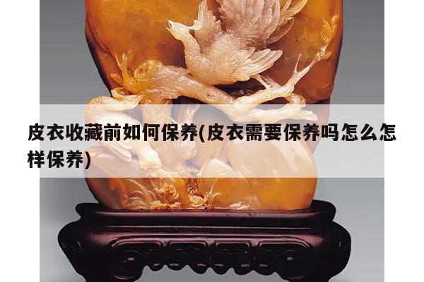 皮衣收藏前如何保养(皮衣需要保养吗怎么怎样保养)