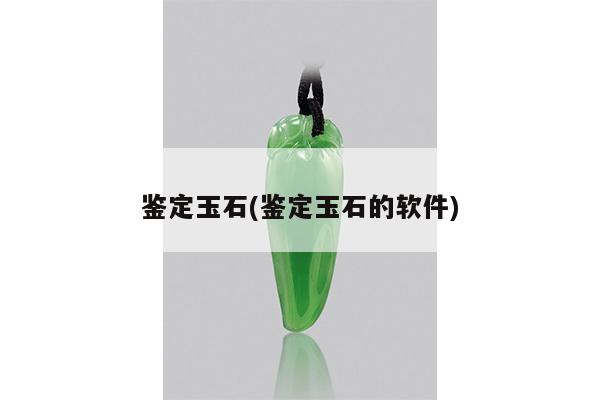 鉴定玉石(鉴定玉石的软件)