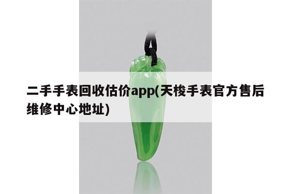 二手手表回收估价app(天梭手表官方售后维修中心地址)