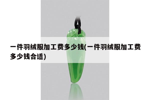 一件羽绒服加工费多少钱(一件羽绒服加工费多少钱合适)