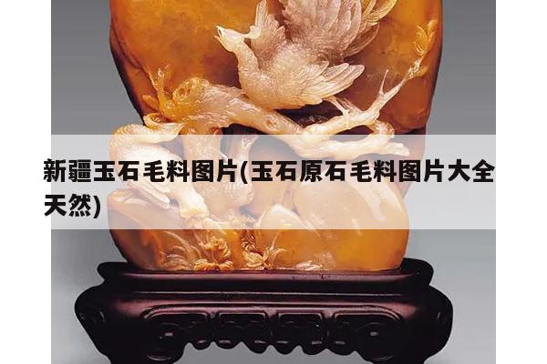 新疆玉石毛料图片(玉石原石毛料图片大全 天然)