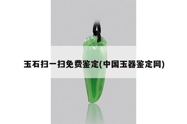 玉石扫一扫免费鉴定(中国玉器鉴定网)