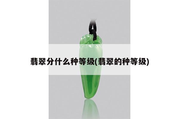 翡翠分什么种等级(翡翠的种等级)