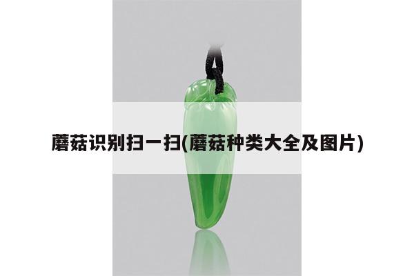 蘑菇识别扫一扫(蘑菇种类大全及图片)