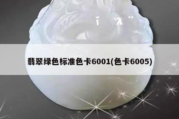 翡翠绿色标准色卡6001(色卡6005)