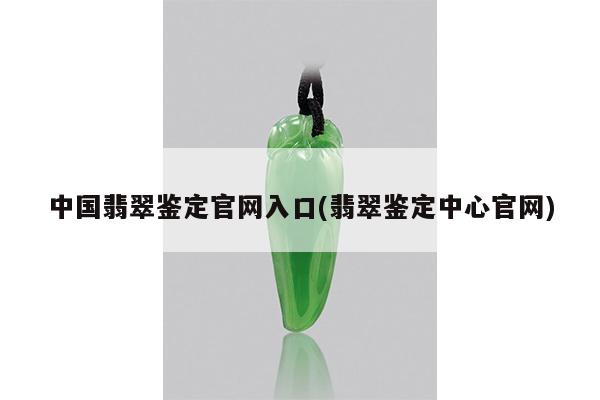 中国翡翠鉴定官网入口(翡翠鉴定中心官网)