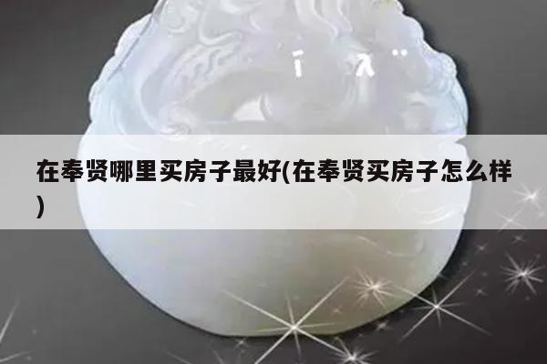在奉贤哪里买房子最好(在奉贤买房子怎么样)