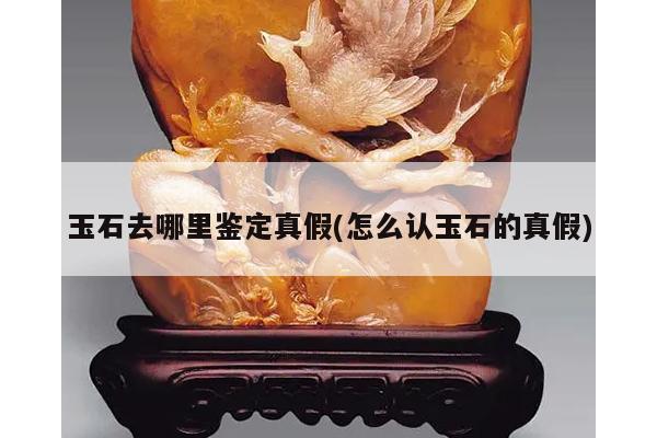 玉石去哪里鉴定真假(怎么认玉石的真假)