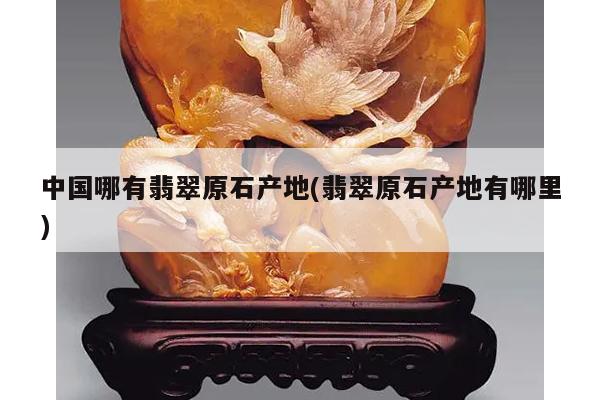 中国哪有翡翠原石产地(翡翠原石产地有哪里)