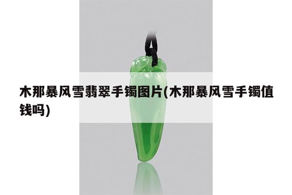 木那暴风雪翡翠手镯图片(木那暴风雪手镯值钱吗)