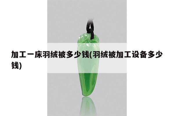 加工一床羽绒被多少钱(羽绒被加工设备多少钱)