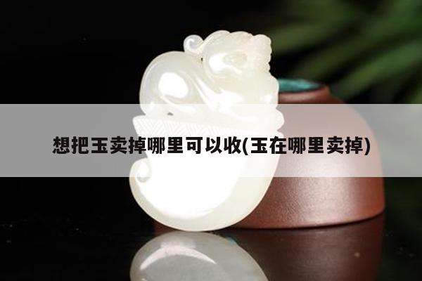 想把玉卖掉哪里可以收(玉在哪里卖掉)