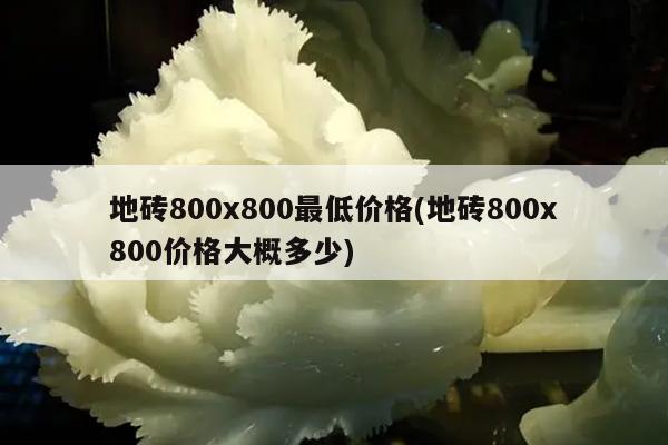 地砖800x800最低价格(地砖800x800价格大概多少)