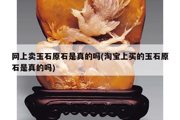 网上卖玉石原石是真的吗(淘宝上买的玉石原石是真的吗)