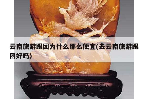 云南旅游跟团为什么那么便宜(去云南旅游跟团好吗)