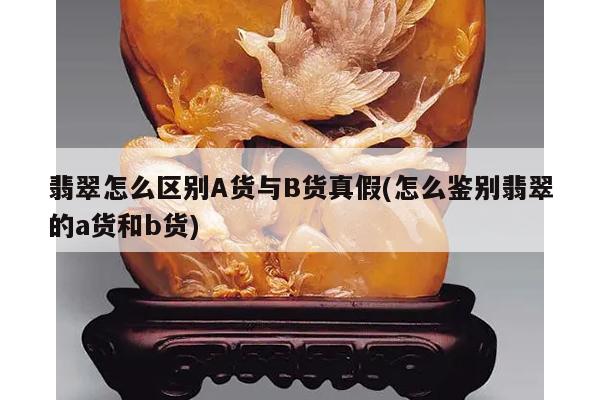 翡翠怎么区别A货与B货真假(怎么鉴别翡翠的a货和b货)