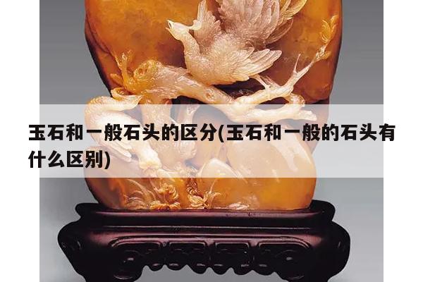 玉石和一般石头的区分(玉石和一般的石头有什么区别)