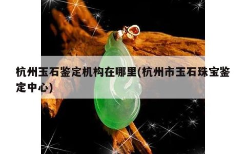 杭州玉石鉴定机构在哪里(杭州市玉石珠宝鉴定中心)