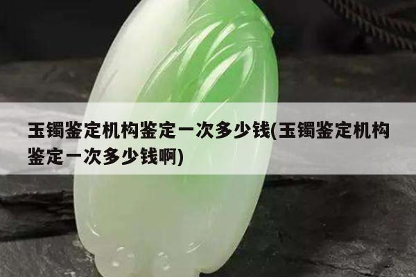 玉镯鉴定机构鉴定一次多少钱(玉镯鉴定机构鉴定一次多少钱啊)