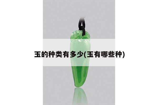 玉的种类有多少(玉有哪些种)
