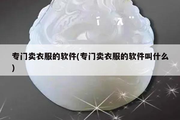 专门卖衣服的软件(专门卖衣服的软件叫什么)