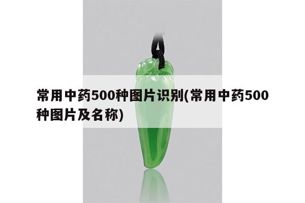 常用中药500种图片识别(常用中药500种图片及名称)