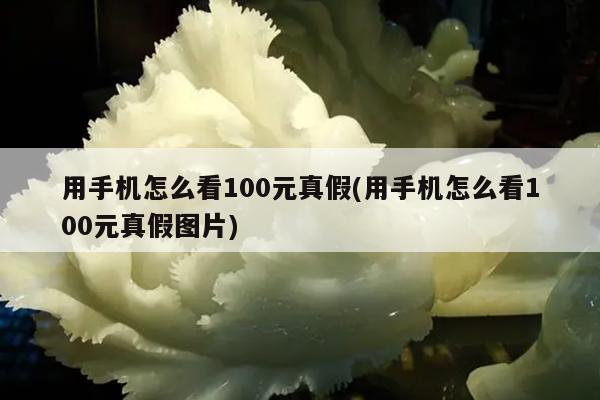 用手机怎么看100元真假(用手机怎么看100元真假图片)
