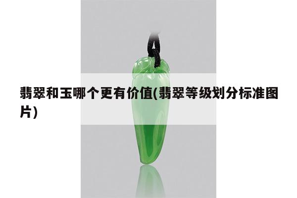 翡翠和玉哪个更有价值(翡翠等级划分标准图片)