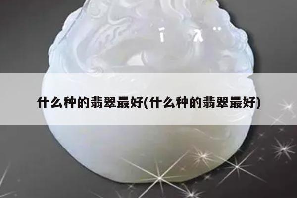 什么种的翡翠最好(什么种的翡翠最好)