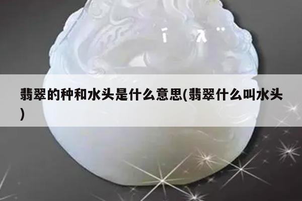 翡翠的种和水头是什么意思(翡翠什么叫水头)