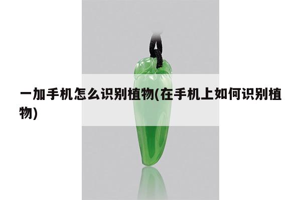 一加手机怎么识别植物(在手机上如何识别植物)