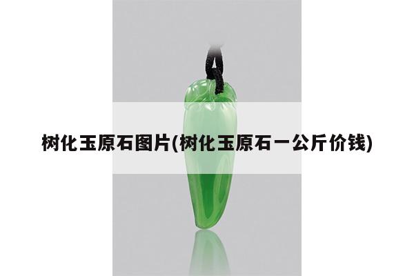 树化玉原石图片(树化玉原石一公斤价钱)