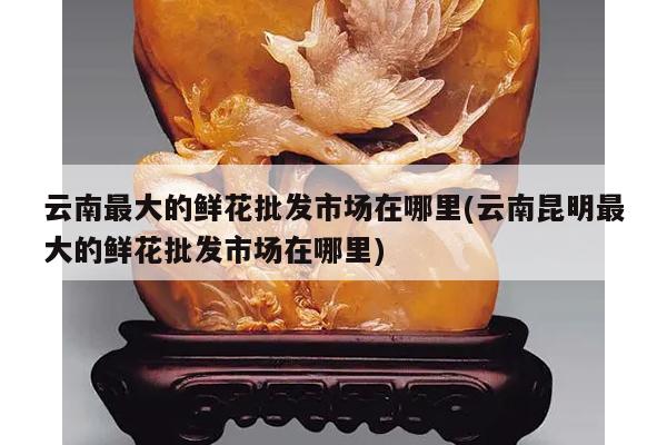 云南最大的鲜花批发市场在哪里(云南昆明最大的鲜花批发市场在哪里)