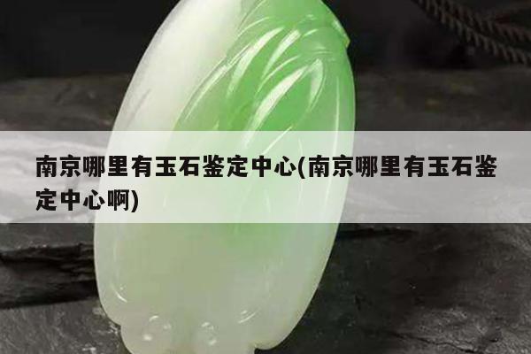 南京哪里有玉石鉴定中心(南京哪里有玉石鉴定中心啊)