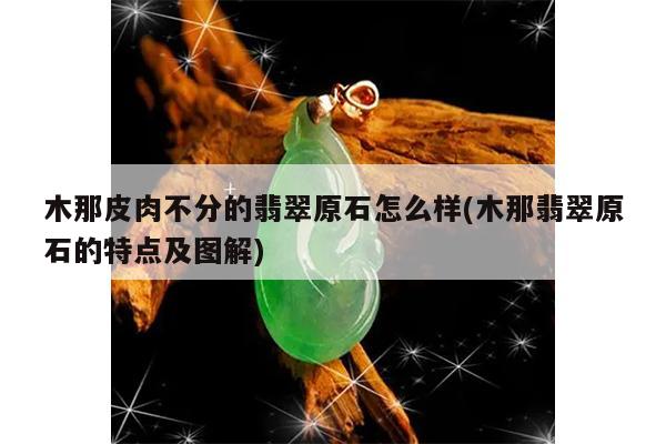 木那皮肉不分的翡翠原石怎么样(木那翡翠原石的特点及图解)