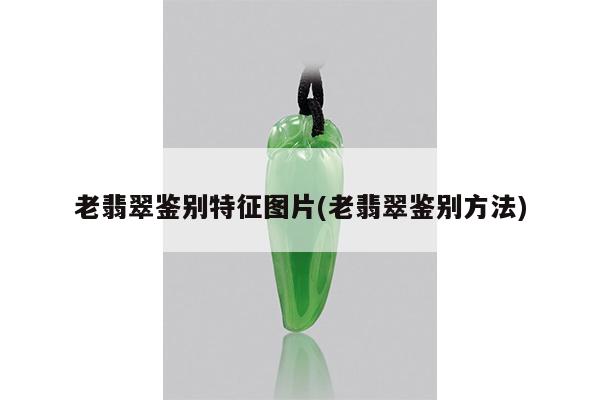 老翡翠鉴别特征图片(老翡翠鉴别方法)