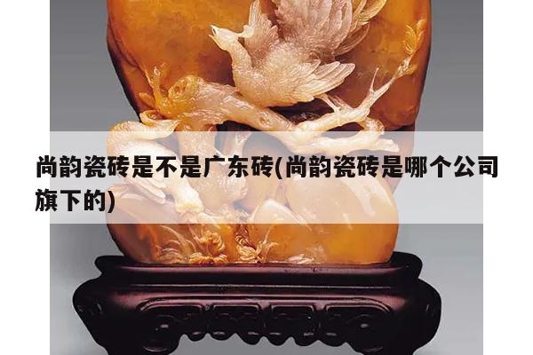 尚韵瓷砖是不是广东砖(尚韵瓷砖是哪个公司旗下的)
