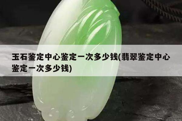 玉石鉴定中心鉴定一次多少钱(翡翠鉴定中心鉴定一次多少钱)