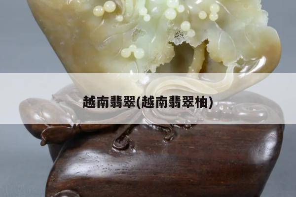 越南翡翠(越南翡翠柚)