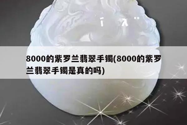 8000的紫罗兰翡翠手镯(8000的紫罗兰翡翠手镯是真的吗)