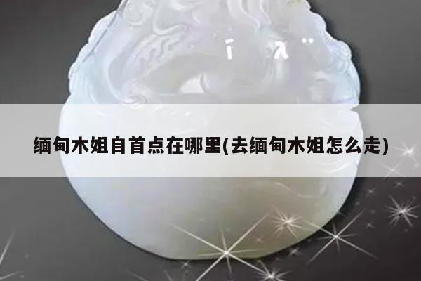 缅甸木姐自首点在哪里(去缅甸木姐怎么走)